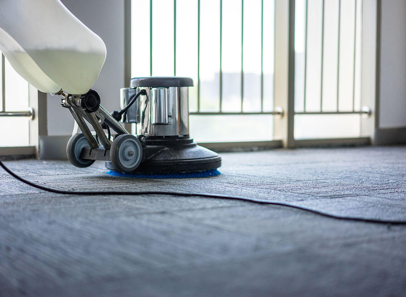 Carpet Cleaning Company Tampa Fl