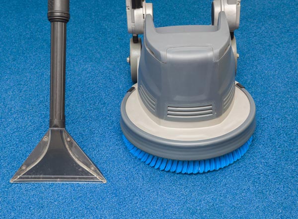 Carpet Cleaning Company Tampa Fl