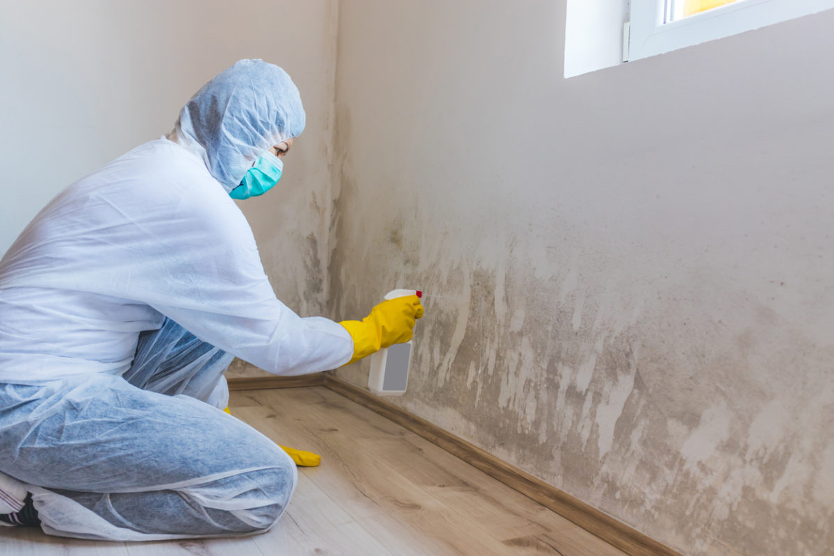 Mold Remediation Services Tampa Fl