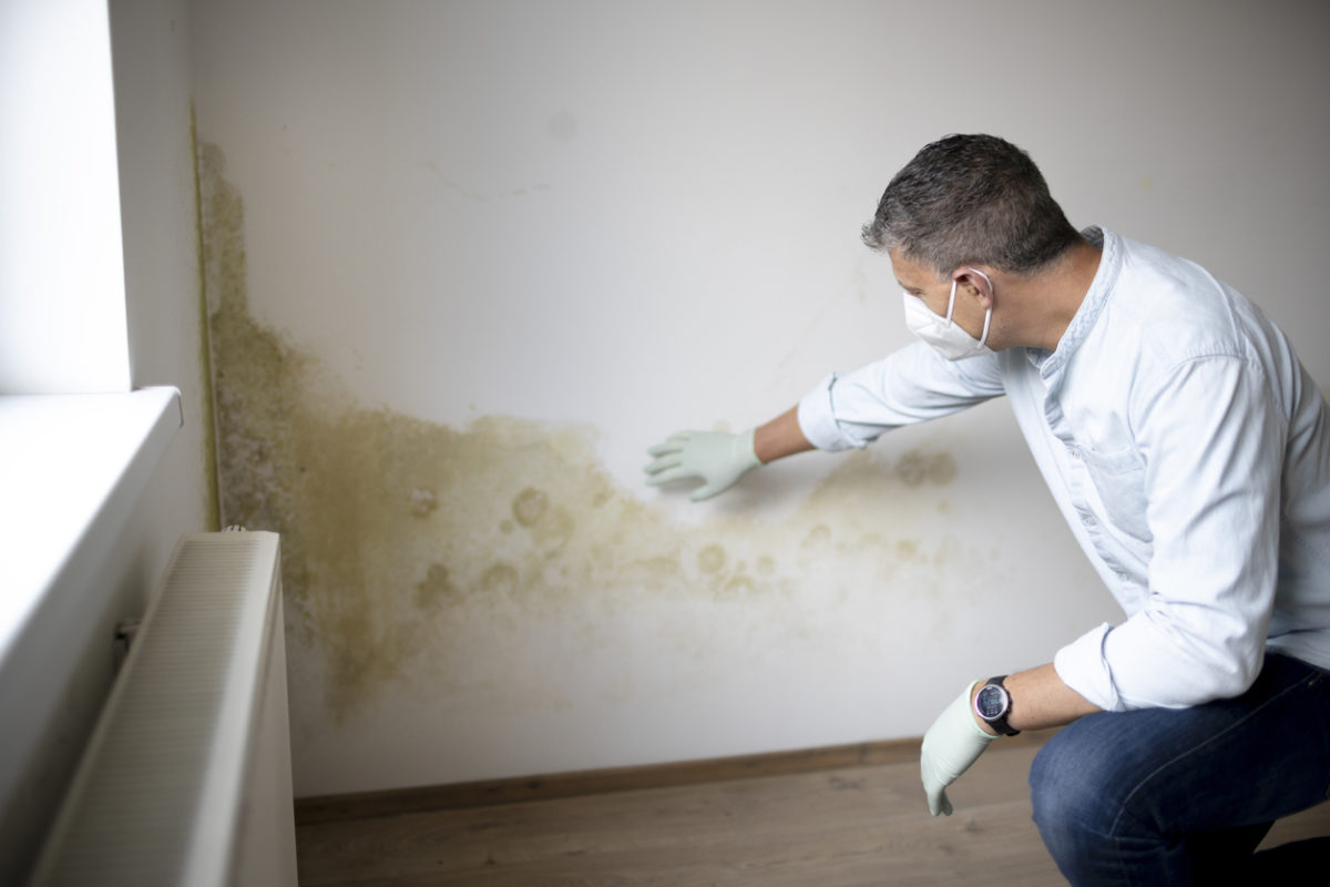 man-wearing-mask-and-gloves-in-front-of-white-wall-with-mold