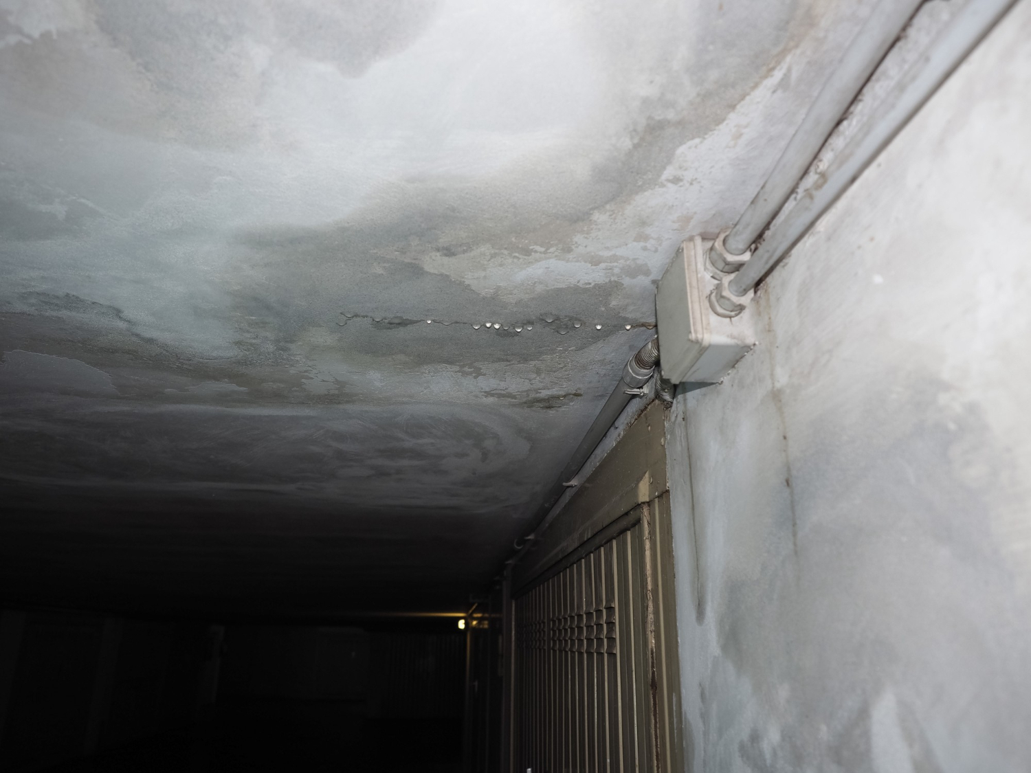 Mold