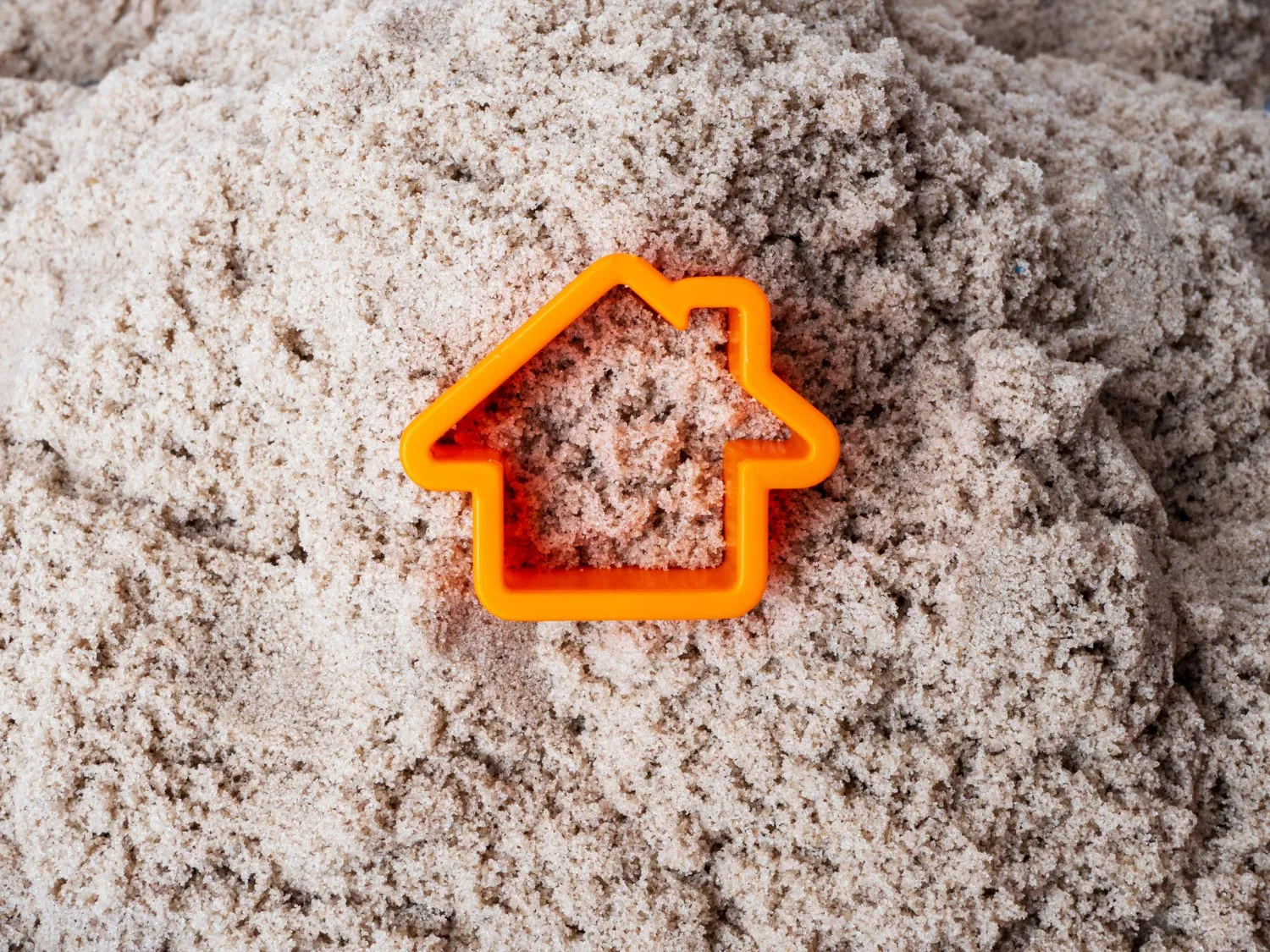 mold affect property value