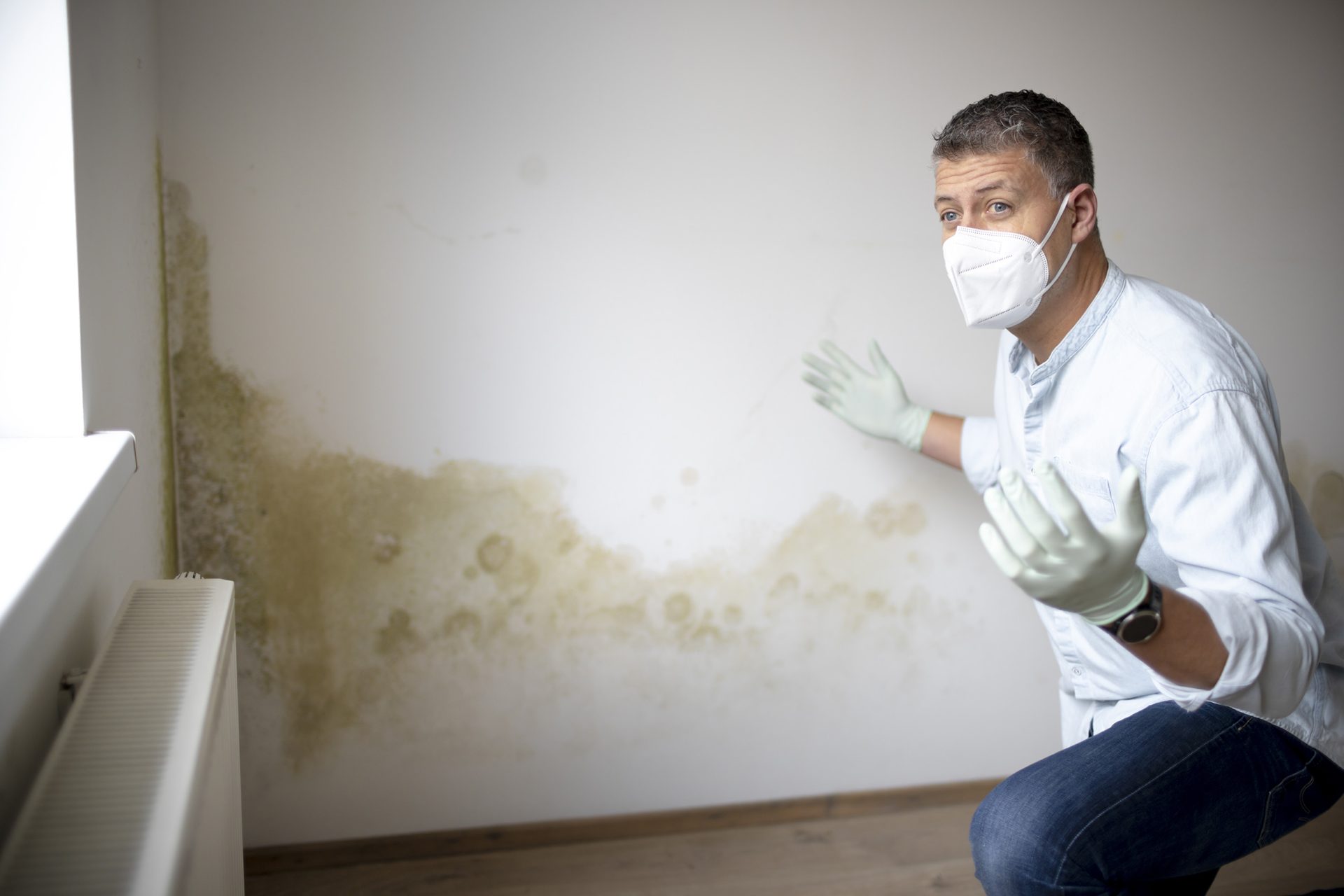 Wall corner mold