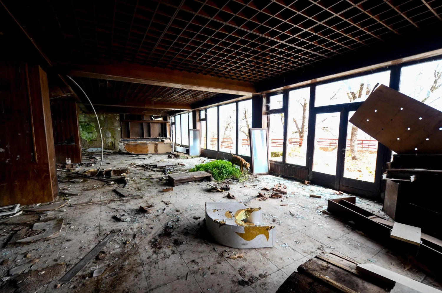 Property Damage Restoration