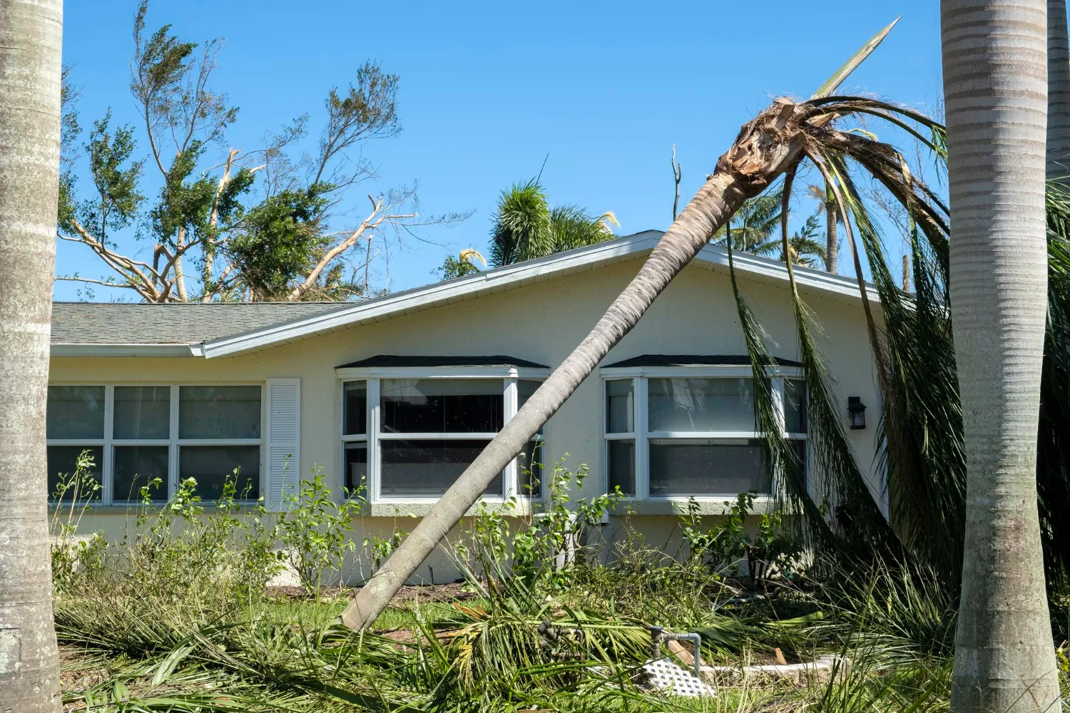 Storm Damage Restoration